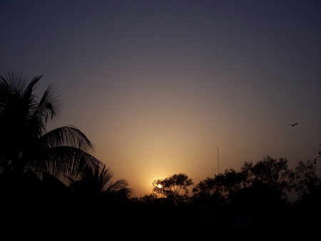 otroocaso2.jpg