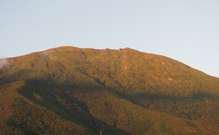 elavila.jpg elavila.jpg