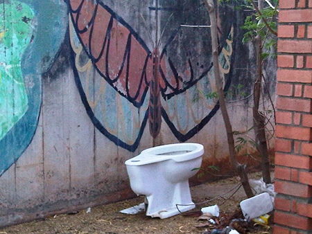mariposaypoceta